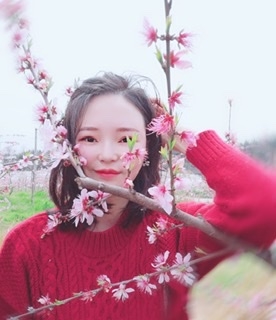 小桌子的第一张照片--会同王婆说媒